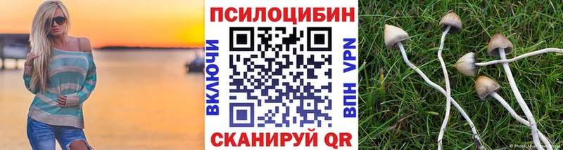 Псилоцибиновые грибы прущие грибы  наркошоп  Светлогорск 
