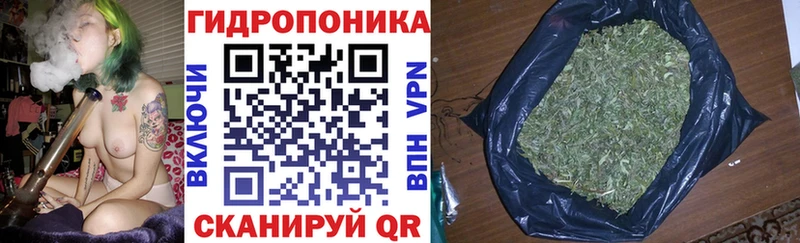 купить наркотики сайты  Светлогорск  Каннабис LSD WEED 